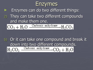 Enzymes Enzymes can do two different things: They can take two different compounds and make them one. Or it can take one compound and break it down into two different compounds.                                                    