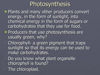 Photosynthesis Plants and many other producers convert energy, in the form of sunlight, into chemical energy in the form of sugars or carbohydrates that they use for food. Producers that use photosynthesis are usually green, why? Chlorophyll- a green pigment that traps sunlight so that its energy can be used to make carbohydrates. Do you know what plant organelle chlorophyll is found? The chloroplast. 