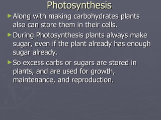 Photosynthesis Along with making carbohydrates plants also can store them in their cells. During Photosynthesis plants always make sugar, even if the plant already has enough sugar already. So excess carbs or sugars are stored in plants, and are used for growth, maintenance, and reproduction.  