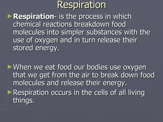 Respiration Respiration - is the process in which chemical reactions breakdown food molecules into simpler substances with the use of oxygen and in turn release their stored energy.  When we eat food our bodies use oxygen that we get from the air to break down food molecules and release their energy. Respiration occurs in the cells of all living things. 