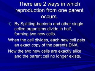 There are 2 ways in which
    reproduction from one parent
               occurs.
1) By Splitting-bacteria and other single
  celled organisms divide in half,
  forming two new cells.
When the cell divides, each new cell gets
  an exact copy of the parents DNA.
Now the two new cells are exactly alike
  and the parent cell no longer exists.
 