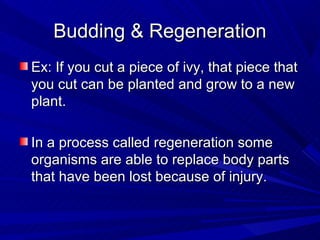 Budding & Regeneration
Ex: If you cut a piece of ivy, that piece that
you cut can be planted and grow to a new
plant.

In a process called regeneration some
organisms are able to replace body parts
that have been lost because of injury.
 