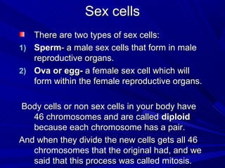 Sex cells
   There are two types of sex cells:
1) Sperm- a male sex cells that form in male
   reproductive organs.
2) Ova or egg- a female sex cell which will
   form within the female reproductive organs.

Body cells or non sex cells in your body have
   46 chromosomes and are called diploid
   because each chromosome has a pair.
And when they divide the new cells gets all 46
   chromosomes that the original had, and we
   said that this process was called mitosis.
 