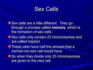 Sex Cells

Sex cells are a little different. They go
through a process called meiosis, which is
the formation of sex cells.
Sex cells only contain 23 chromosomes and
are called haploid.
These cells have half the amount that a
normal non-sex cell would have.
So when they divide only 23 chromosomes
are given to the new cell.
 