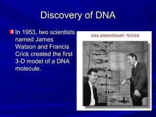 Discovery of DNA
In 1953, two scientists
named James
Watson and Francis
Crick created the first
3-D model of a DNA
molecule.
 
