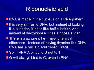 Ribonucleic acid
RNA is made in the nucleus on a DNA pattern.
It is very similar to DNA, but instead of looking
like a ladder, it looks like half a ladder. And
instead of deoxyribose it has a ribose sugar.
There is also one other major chemical
difference. Instead of having thymine like DNA.
RNA has a nucleic acid called Uracil.
So in RNA A binds to U not to T.
G will always bind to C, even in RNA
 