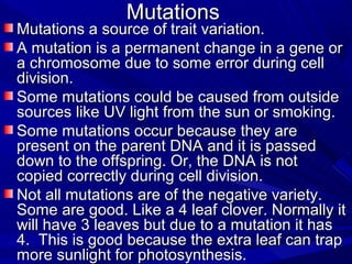 Mutations
Mutations a source of trait variation.
A mutation is a permanent change in a gene or
a chromosome due to some error during cell
division.
Some mutations could be caused from outside
sources like UV light from the sun or smoking.
Some mutations occur because they are
present on the parent DNA and it is passed
down to the offspring. Or, the DNA is not
copied correctly during cell division.
Not all mutations are of the negative variety.
Some are good. Like a 4 leaf clover. Normally it
will have 3 leaves but due to a mutation it has
4. This is good because the extra leaf can trap
more sunlight for photosynthesis.
 