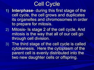 Cell Cycle
1) Interphase- during this first stage of the
   cell cycle, the cell grows and duplicates
   its organelles and chromosomes in order
   to prepare for mitosis.
2) Mitosis- Is stage 2 of the cell cycle. And
   mitosis is the way that all of our cell go
   through cell division.
3) The third stage of the cell cycle is called
   cytokenesis. Here the cytoplasm of the
   parent cell is evenly distributed into the
   two new daughter cells or offspring.
 