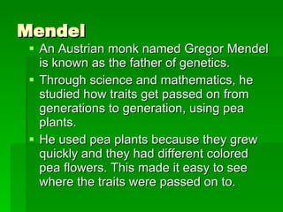 Mendel  An Austrian monk named Gregor Mendel is known as the father of genetics. Through science and mathematics, he studied how traits get passed on from generations to generation, using pea plants. He used pea plants because they grew quickly and they had different colored pea flowers. This made it easy to see where the traits were passed on to.  