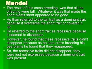Mendel The result of this cross breeding, was that all the offspring were tall.  Whatever it was that made the short plants short appeared to be gone. He than referred to the tall trait as a dominant trait because it overcame the short trait or covered it up. He referred to the short trait as recessive because it seemed to disappear. However, he found that these recessive traits didn’t disappear because as he kept cross breeding his pea plants he found that they reappeared. So, the recessive traits did not disappear, they were just not expressed because a dominant trait was present. 