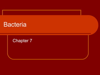 Bacteria Chapter 7 