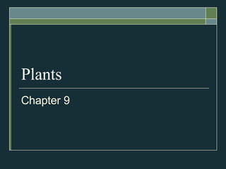 Plants Chapter 9 