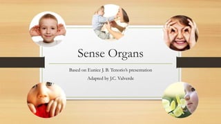 Sense Organs
Based on Eunice J. B. Tenorio’s presentation
Adapted by J.C. Valverde
 