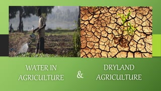 WATER IN
AGRICULTURE
DRYLAND
AGRICULTURE
&
 