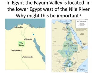 In Egypt the Fayum Valley is located in
 the lower Egypt west of the Nile River
     Why might this be important?
 