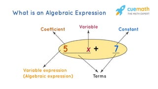 7th algebraic expressions.pptx