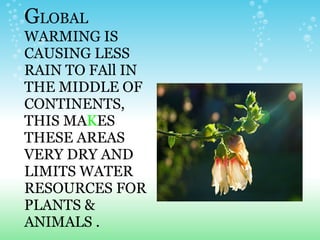 G LOBAL WARMING IS CAUSING LESS RAIN TO FAll IN THE MIDDLE OF CONTINENTS, THIS MA K ES THESE AREAS VERY DRY AND LIMITS WATER RESOURCES FOR PLANTS & ANIMALS . 