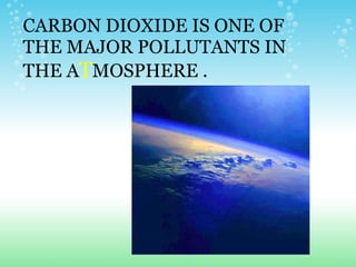 CARBON DIOXIDE IS ONE OF THE MAJOR POLLUTANTS IN THE A T MOSPHERE . 