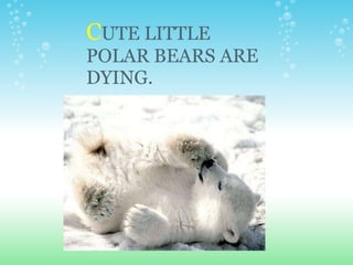   C UTE LITTLE POLAR BEARS ARE DYING. 