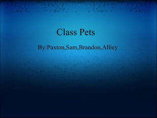 Class Pets   By:Paxton,Sam,Brandon,Alliey 