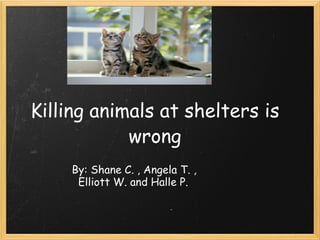 Killing animals at shelters is wrong   By: Shane C. , Angela T. ,    Elliott W. and Halle P.                                                                                                  