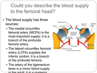Could you describe the blood supply
to the femoral head?
 The blood supply has three
sources:
 The medial circumflex
femoral artery (MCFA) is the
most important supply; it is a
branch of the profunda
femoris artery.
 The lateral circumflex femoral
artery (LCFA) supplies the
inferior portion; it is a branch
of the profunda femoris.
 The artery of the ligamentum
teres is a minor blood supply
 