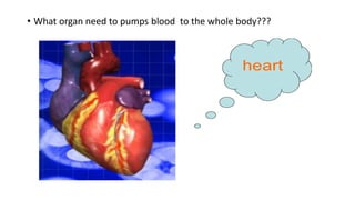 • What organ need to pumps blood to the whole body???
 