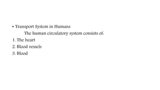 • Transport System in Humans
The human circulatory system consists of:
1. The heart
2. Blood vessels
3. Blood
 