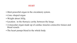 HEART
• Most powerful organ in the circulatory system.
• Cone-shaped organ.
• Weight about 300g.
• Location: in the thoracic cavity, between the lungs.
• A muscular organ made up of cardiac muscles connective tissues and
blood vessels.
• The heart pumps blood to the whole body.
 