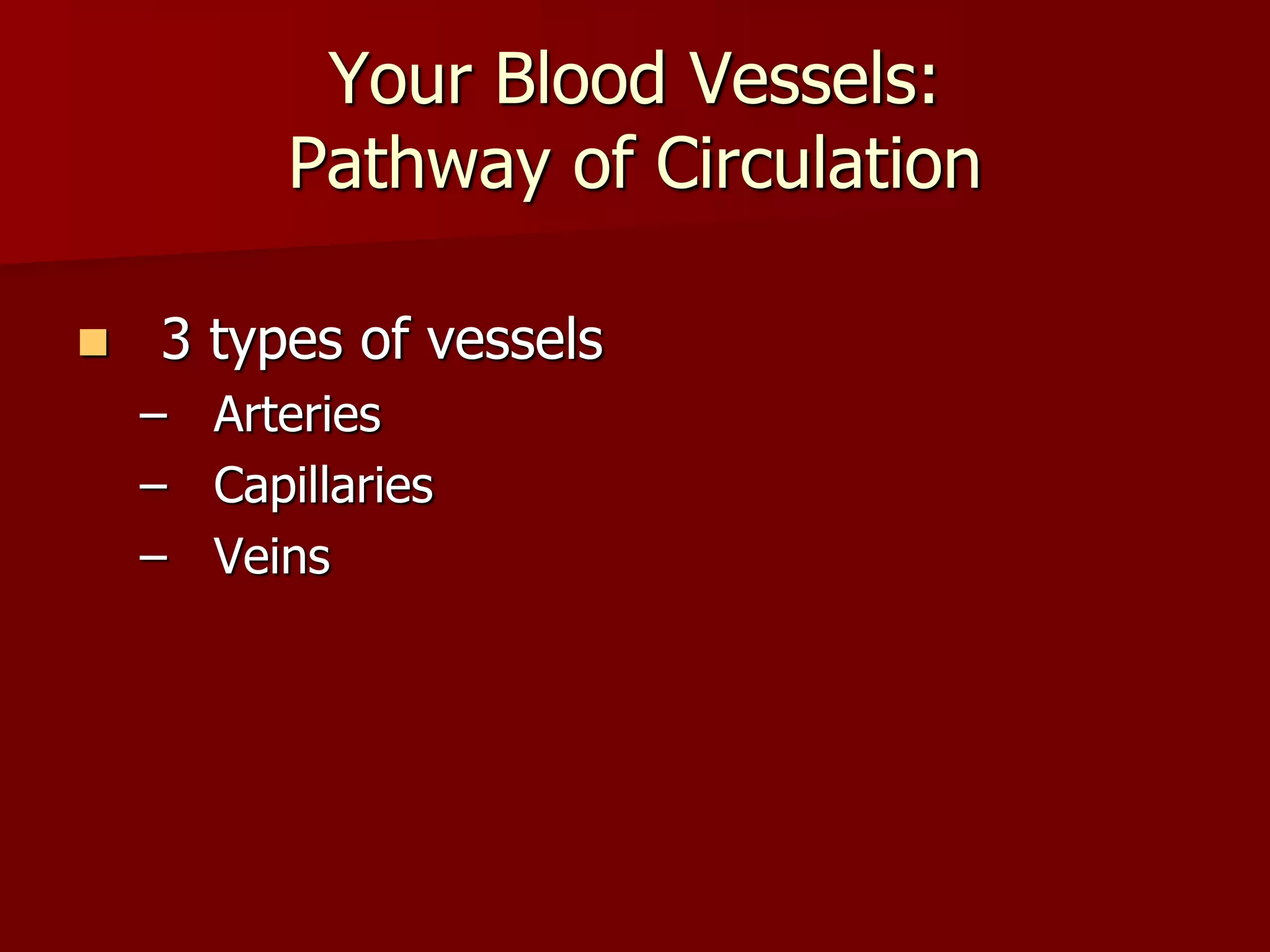 Your Blood Vessels:
Pathway of Circulation
 3 types of vessels
– Arteries
– Capillaries
– Veins
 