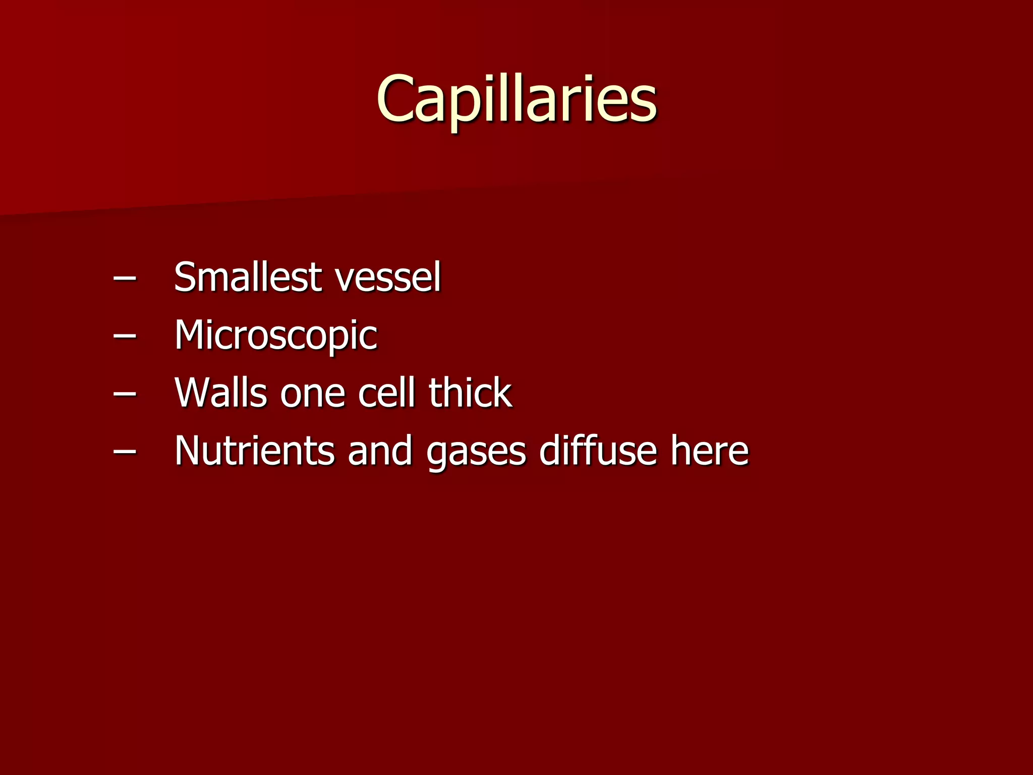 Capillaries
– Smallest vessel
– Microscopic
– Walls one cell thick
– Nutrients and gases diffuse here
 