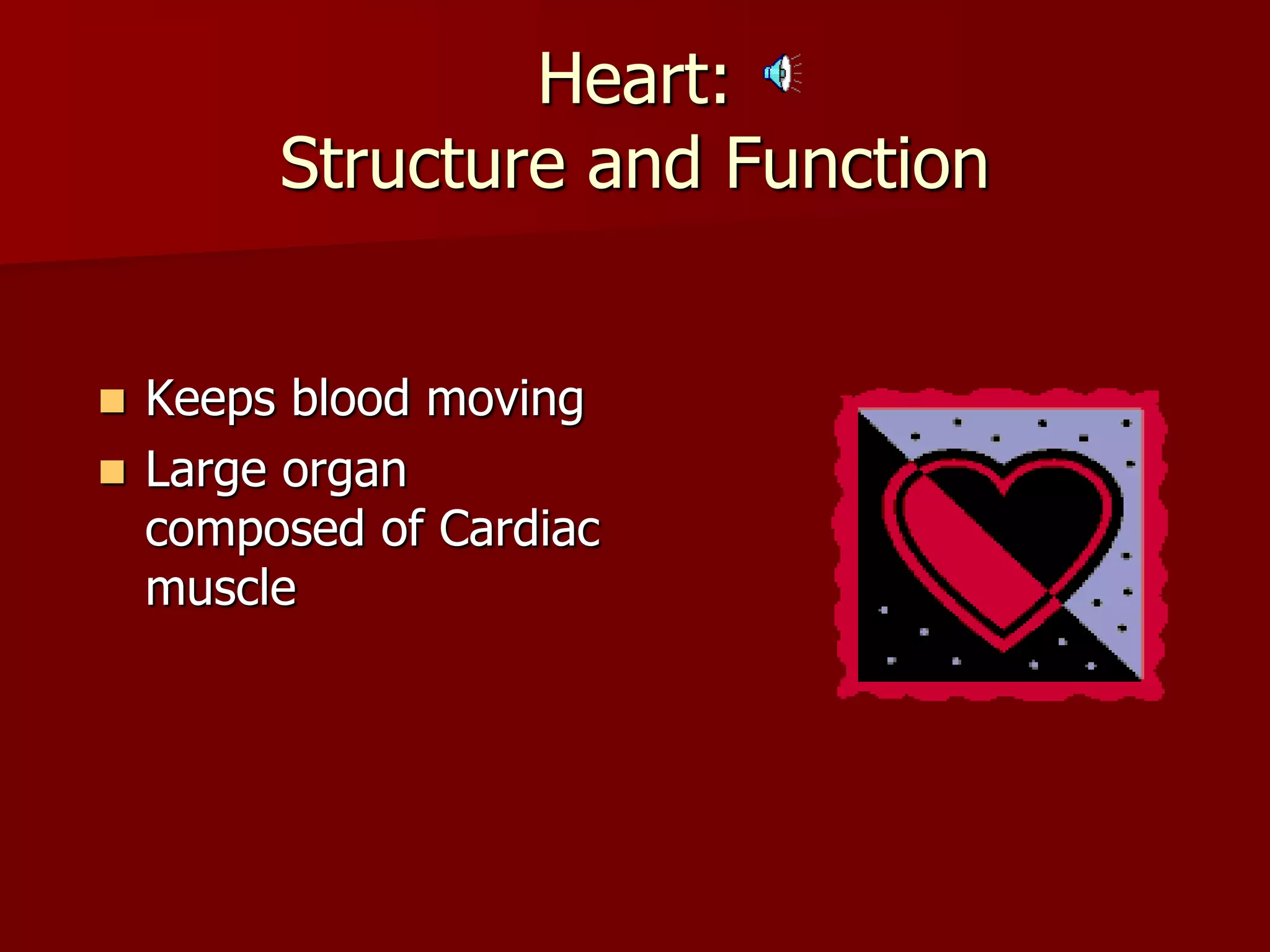 Heart:
Structure and Function
 Keeps blood moving
 Large organ
composed of Cardiac
muscle
 