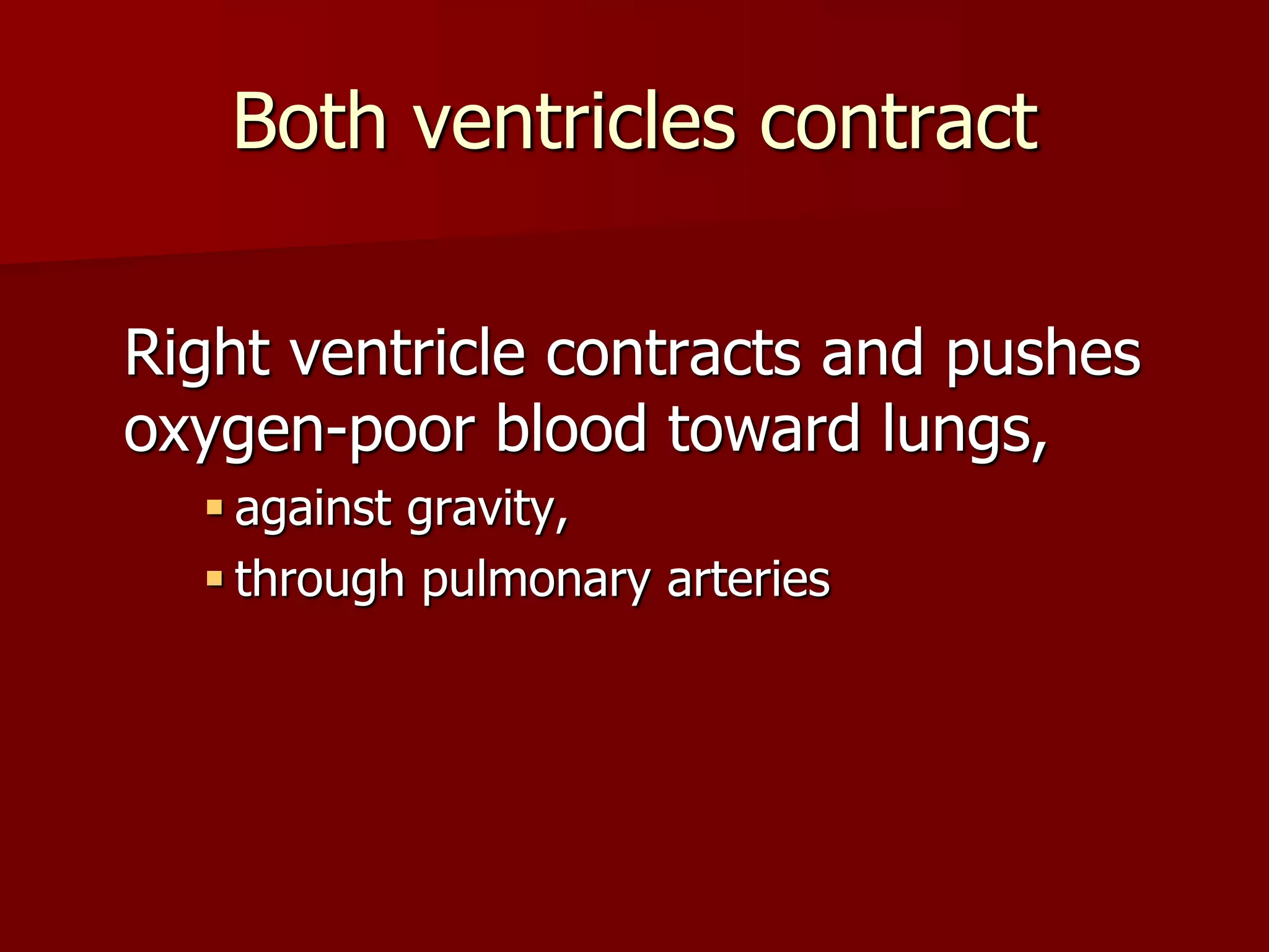 Both ventricles contract
Right ventricle contracts and pushes
oxygen-poor blood toward lungs,
 against gravity,
 through pulmonary arteries
 