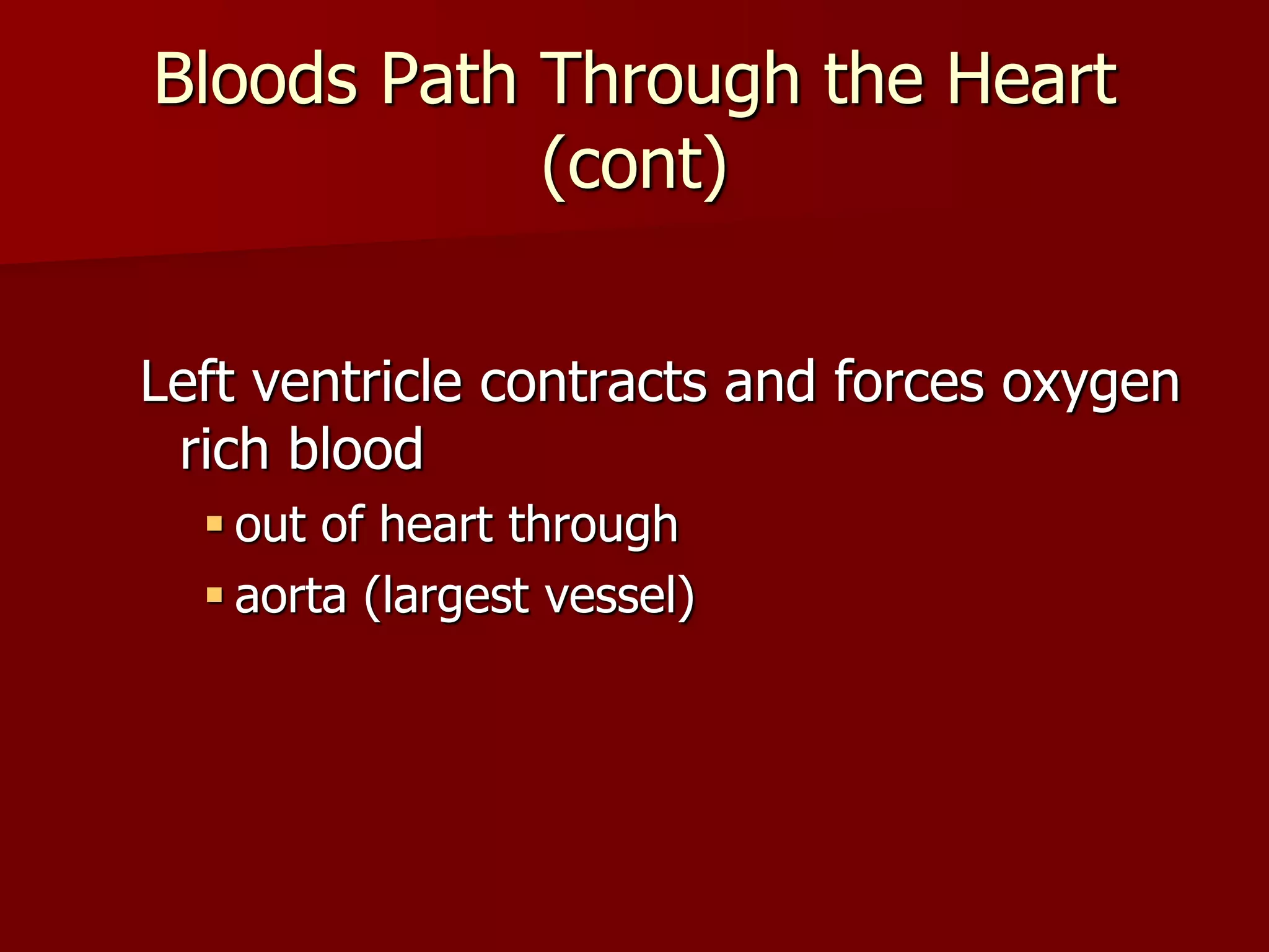 Left ventricle contracts and forces oxygen
rich blood
 out of heart through
 aorta (largest vessel)
Bloods Path Through the Heart
(cont)
 