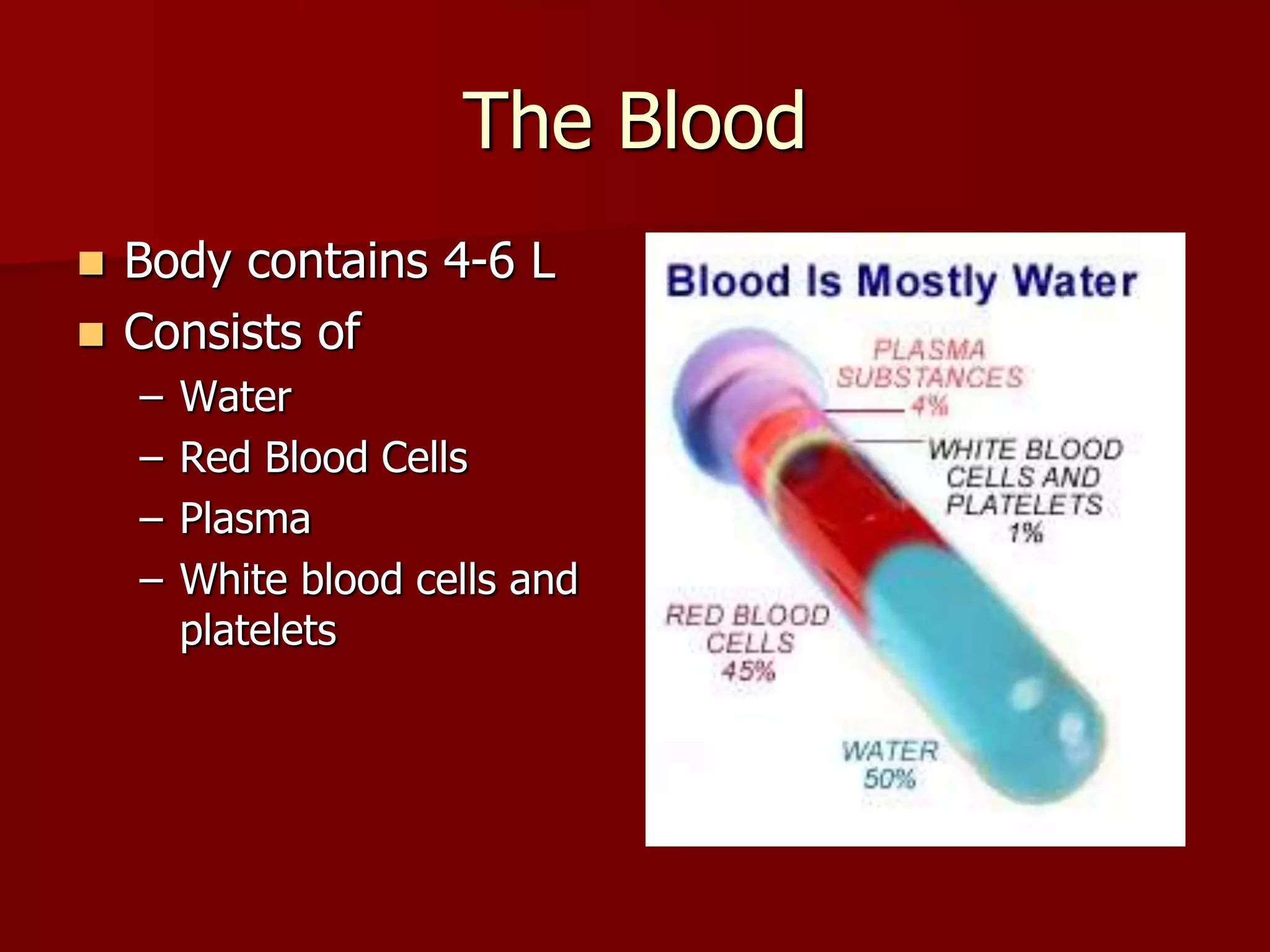 The Blood
 Body contains 4-6 L
 Consists of
– Water
– Red Blood Cells
– Plasma
– White blood cells and
platelets
 