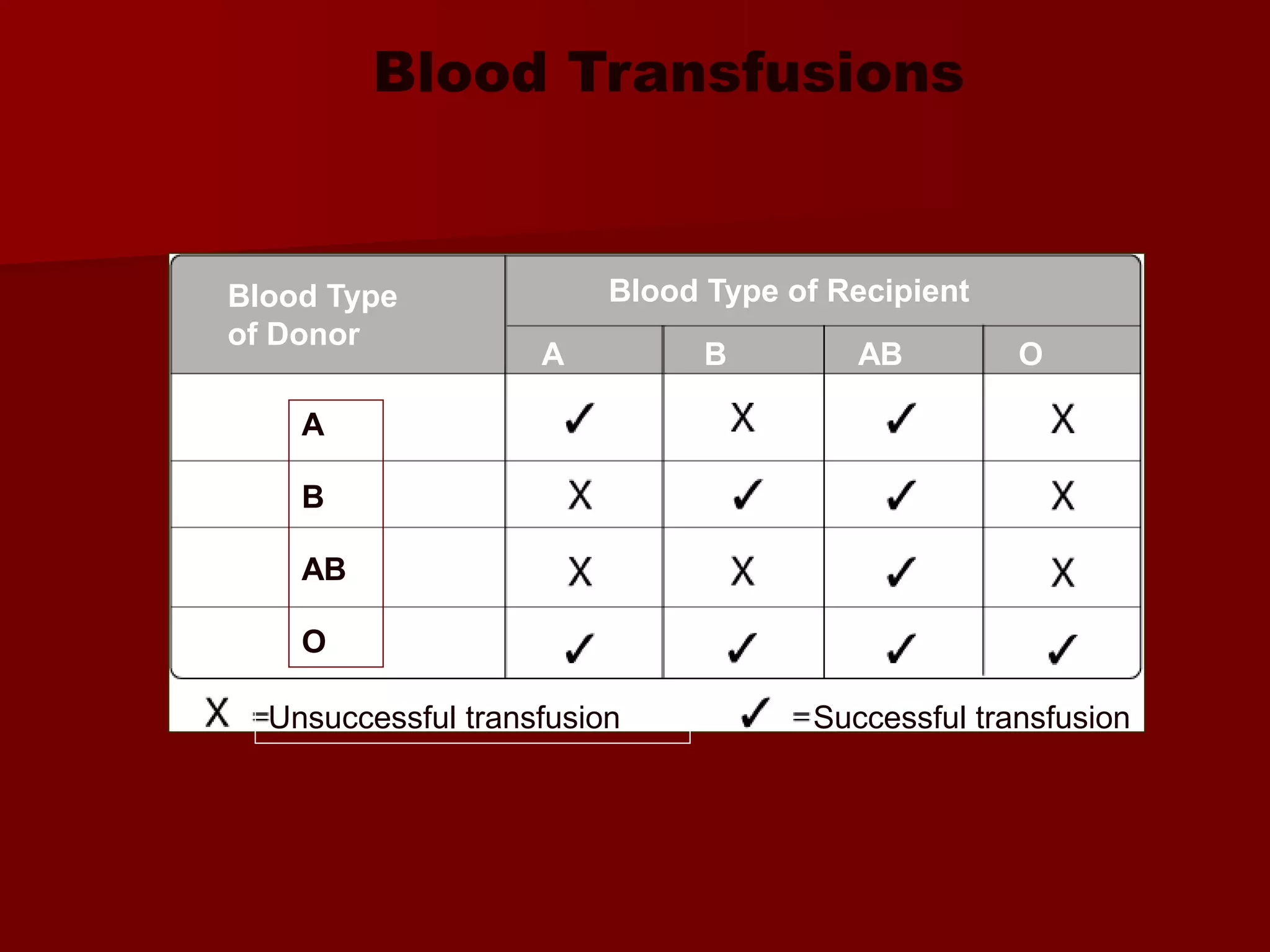 Blood Type
of Donor
A
B
AB
O
Blood Type of Recipient
A B AB O
Unsuccessful transfusion Successful transfusion
Blood Transfusions
 