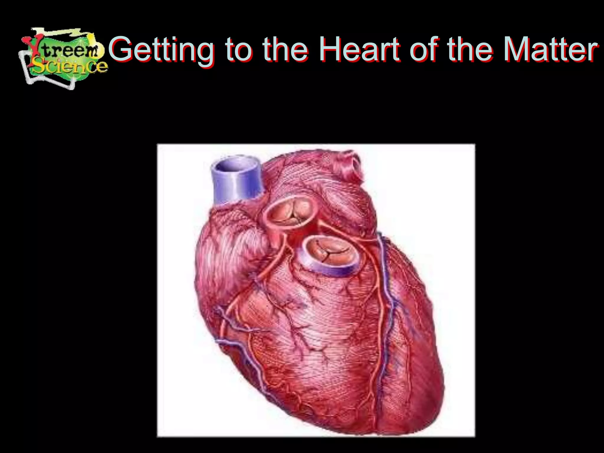 Getting to the Heart of the Matter
 