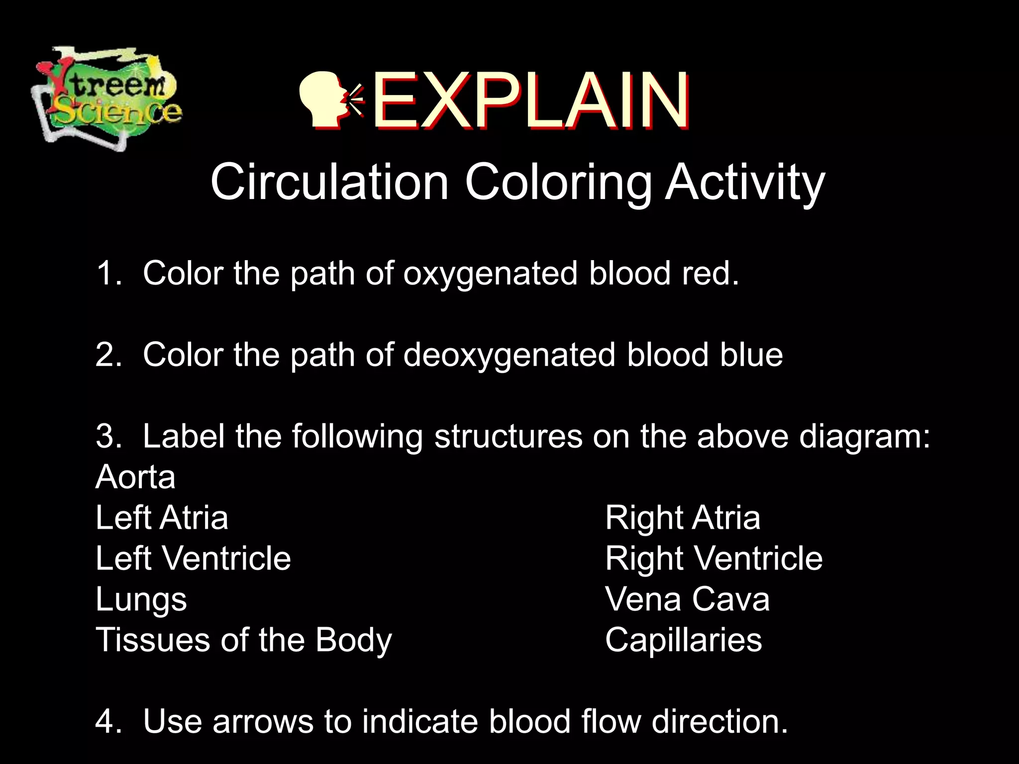 EXPLAIN
Circulation Coloring Activity
1. Color the path of oxygenated blood red.
2. Color the path of deoxygenated blood blue
3. Label the following structures on the above diagram:
Aorta
Left Atria Right Atria
Left Ventricle Right Ventricle
Lungs Vena Cava
Tissues of the Body Capillaries
4. Use arrows to indicate blood flow direction.
 