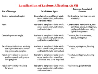 Localization of Lesions Affecting CN VII
 