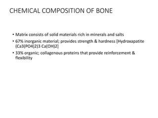 CHEMICAL COMPOSITION OF BONE
• Matrix consists of solid materials rich in minerals and salts
• 67% inorganic material; provides strength & hardness [Hydroxapatite
(Ca3(PO4)2)3 Ca(OH)2]
• 33% organic; collagenous proteins that provide reinforcement &
flexibility
 
