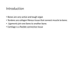 Introduction
• Bones are very active and tough organ
• Tendons are collagen fibrous tissue that connect muscle to bone.
• Ligaments join one bone to another bone.
• Cartilage is a flexible connective tissue
 