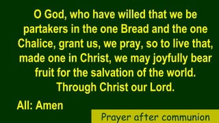 O God, who have willed that we be
partakers in the one Bread and the one
Chalice, grant us, we pray, so to live that,
made one in Christ, we may joyfully bear
fruit for the salvation of the world.
Through Christ our Lord.
All: Amen
Prayer after communion
 