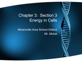 Chapter 3: Section 3
     Energy in Cells

Minersville Area School Distirct
                    Mr. Motuk
 