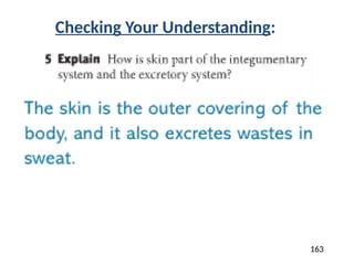 7th Grade Intro to Human Body Systems PPT.pptx