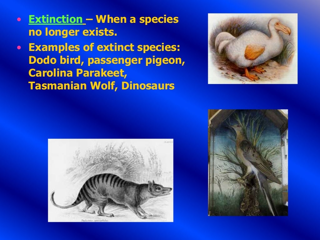7th grade life science chapter 1 (revised)