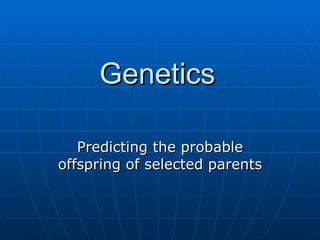 Genetics Predicting the probable offspring of selected parents 