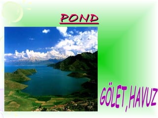 PONDPOND
 