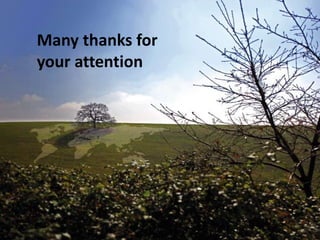 Many thanks for
your attention
 