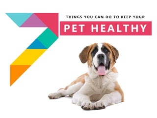7 things you can do to keep your pet healthy