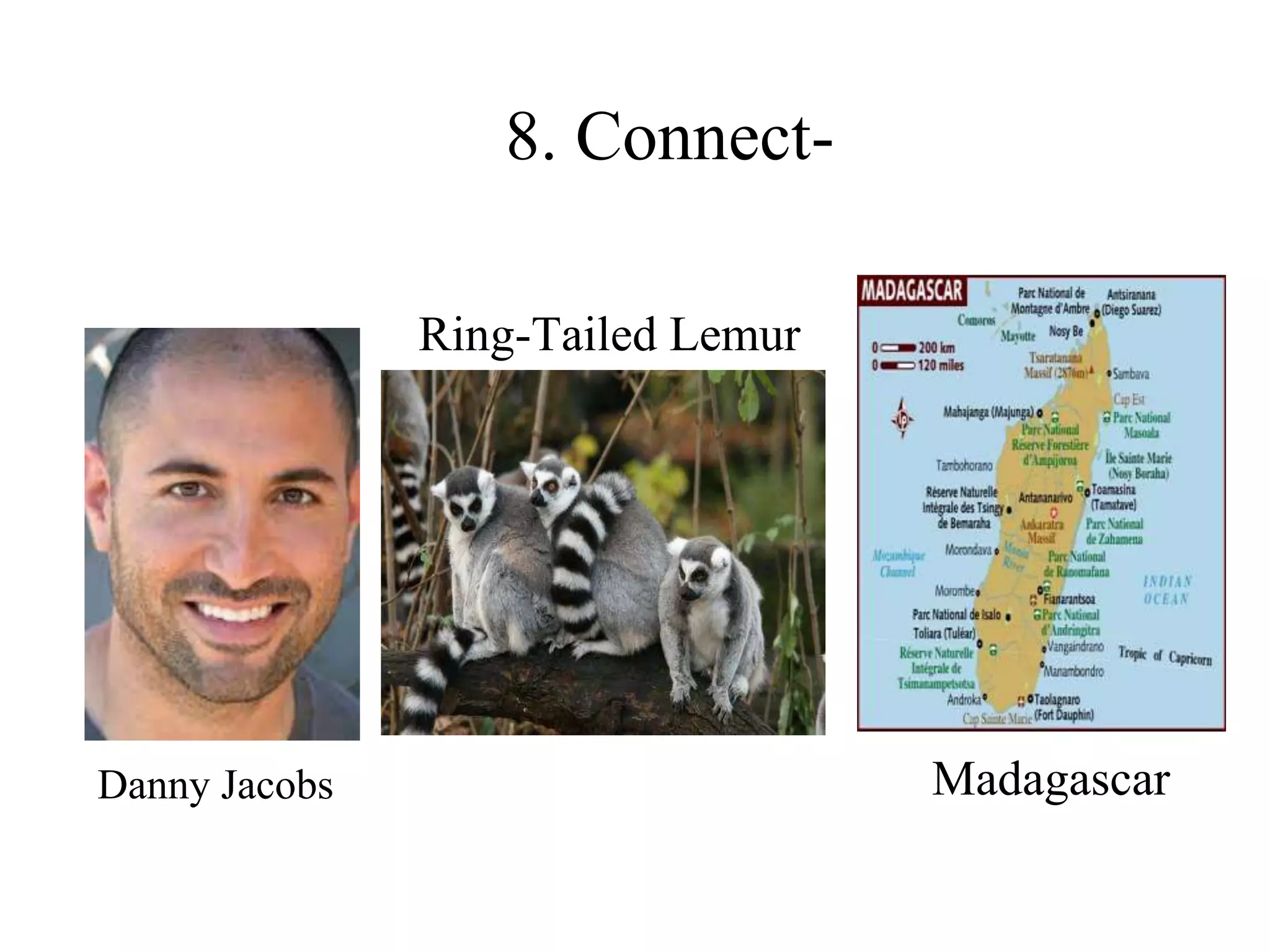 8. Connect-
Danny Jacobs
Ring-Tailed Lemur
Madagascar
 
